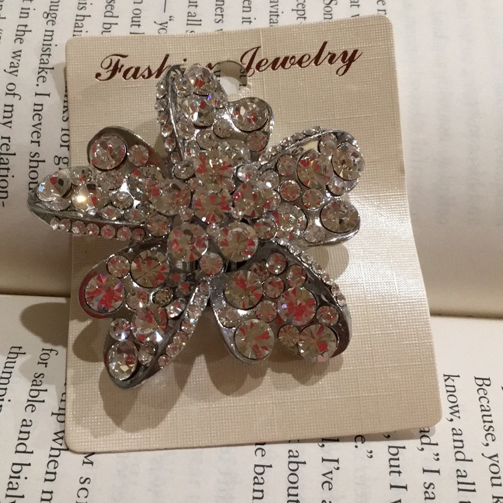 🌺beautiful brooch.
